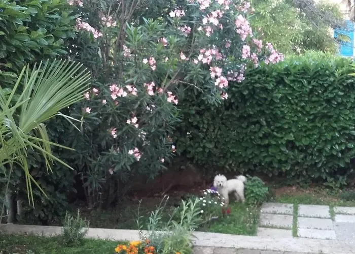 Sunshine Mary Apartment Opatija